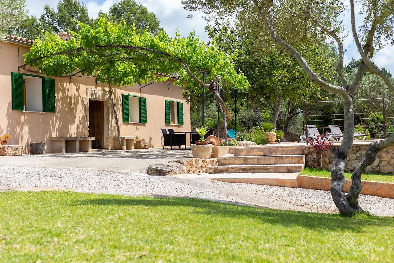 Son Fornes Villa Algaida  Algaida (Mallorca)