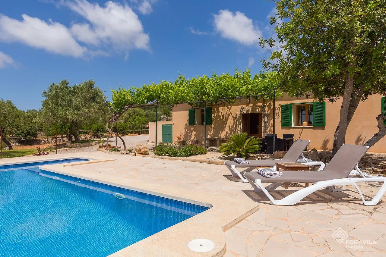 Son Fornes Villa Algaida  Holiday home