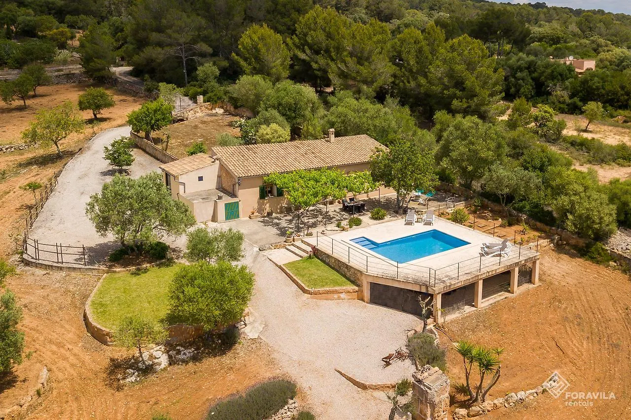 Son Fornes Villa Algaida  Holiday home
